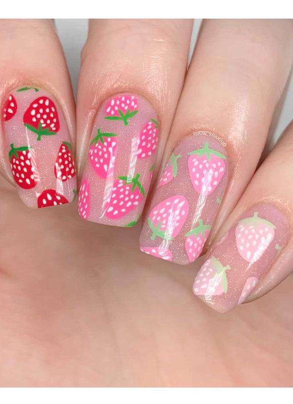 Seashells & Sunshine