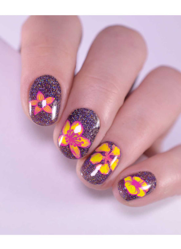 Elegant Whimsy