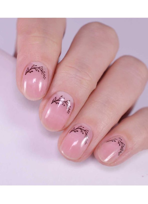 Elegant Whimsy