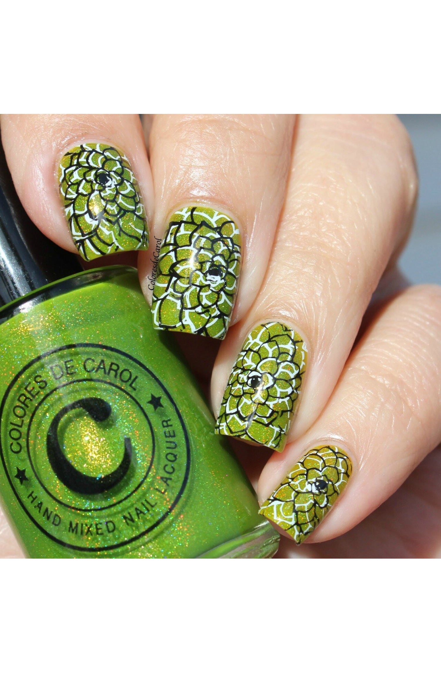succulent nails Succulents