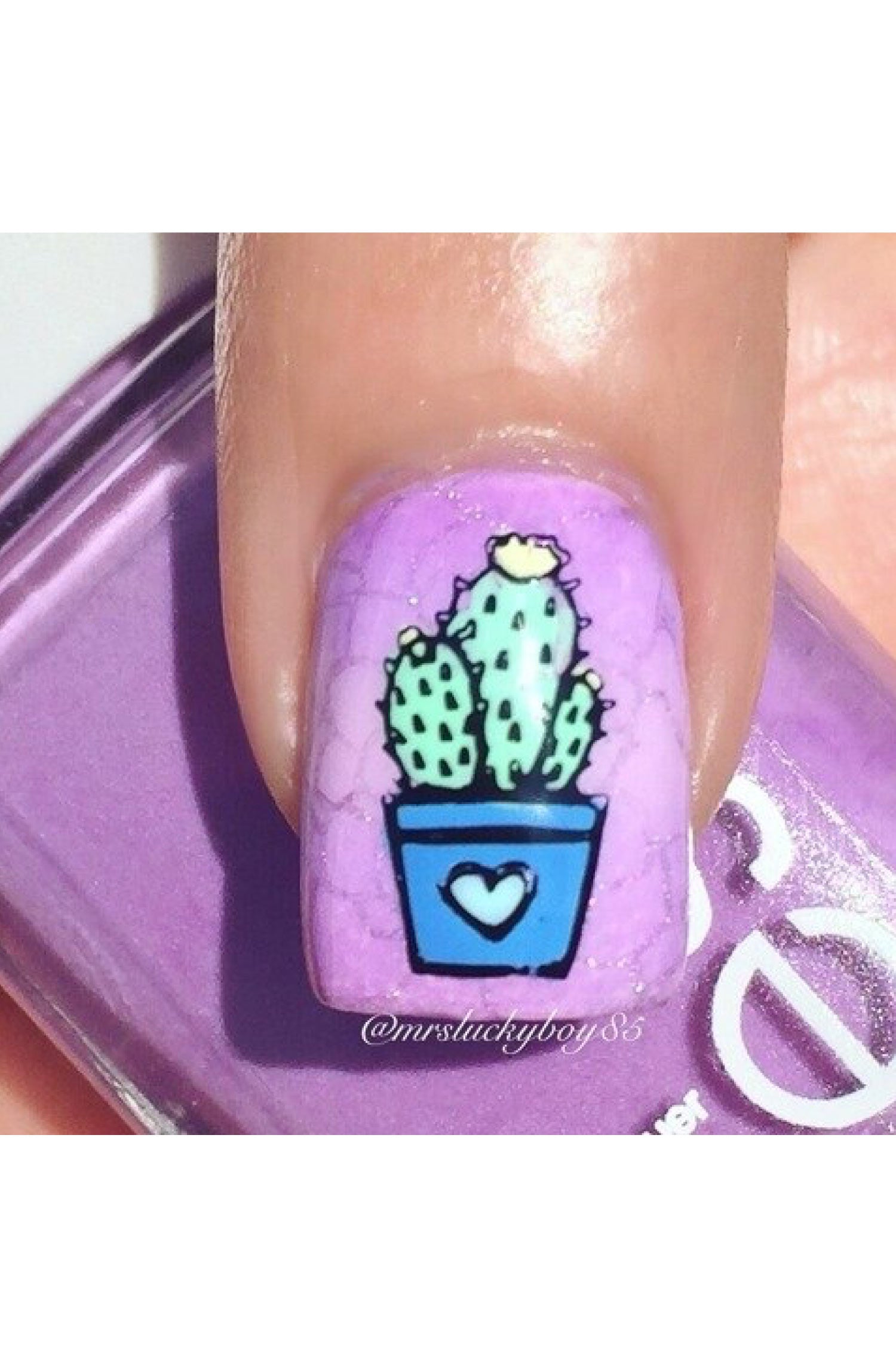 succulent fingernails Succulents
