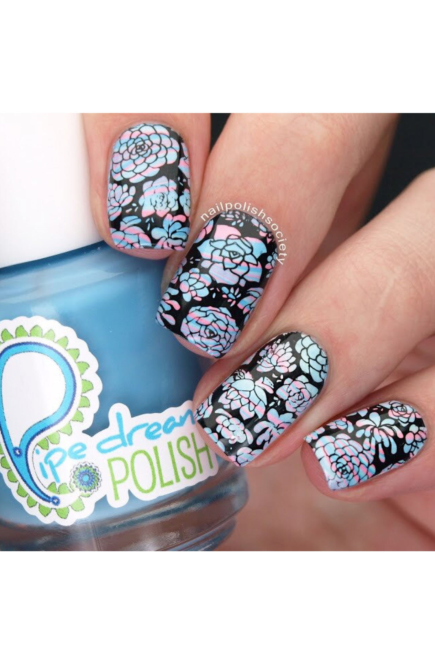 succulent nails Succulents