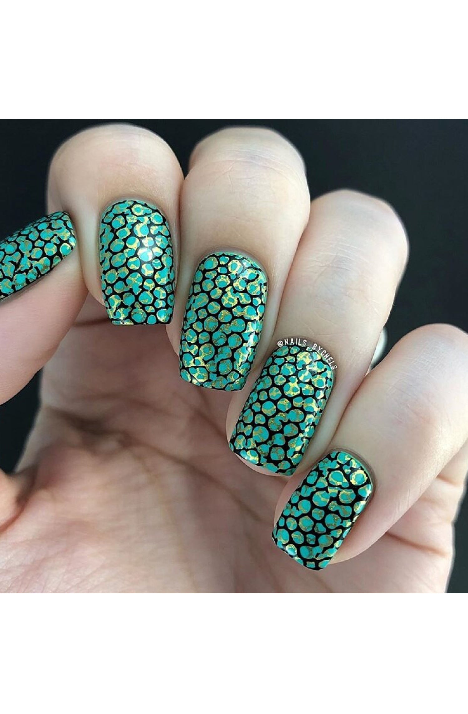 Hands Off Into the Wild Nail Stamping Plate