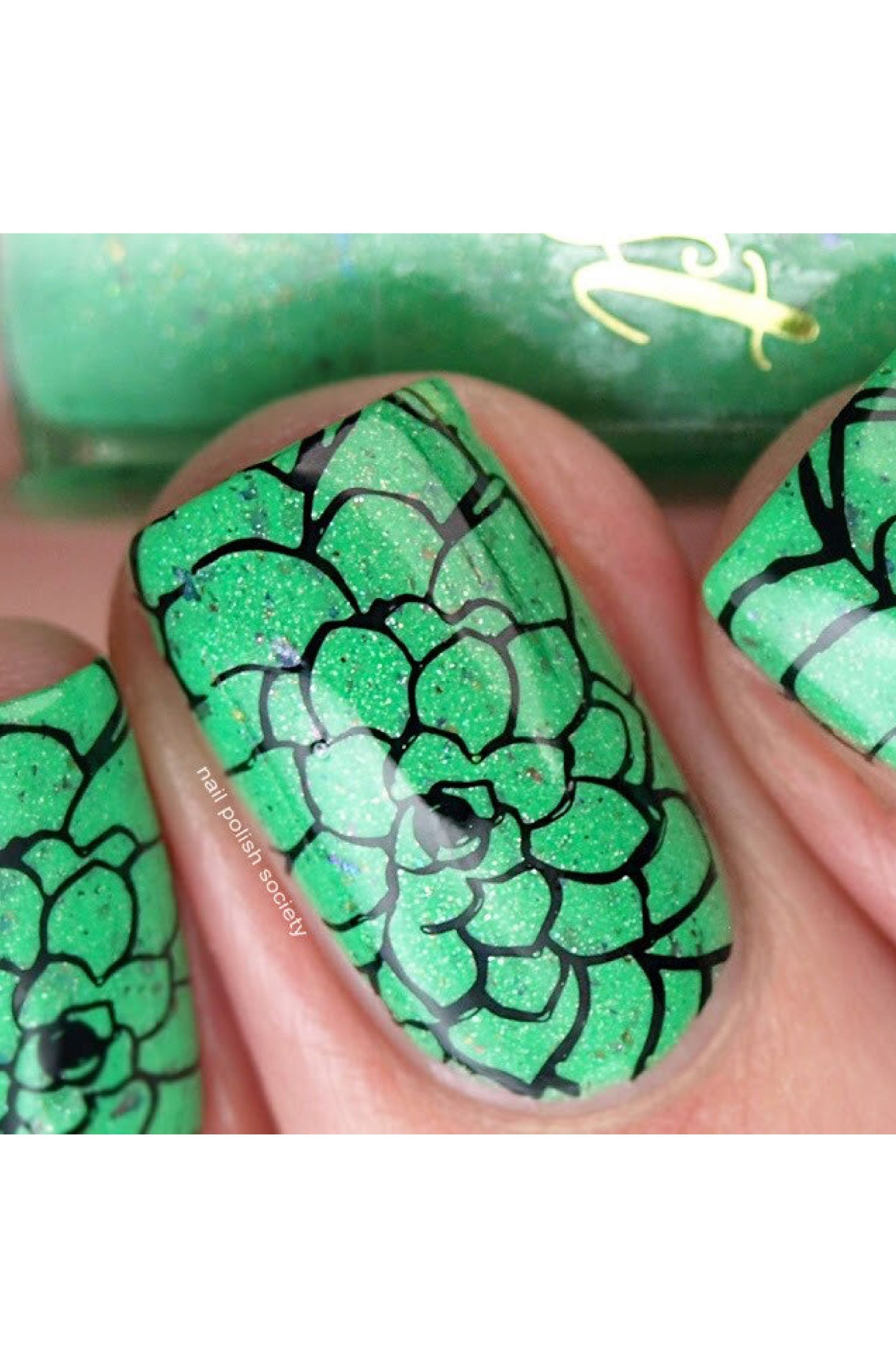 succulent nail art Succulents